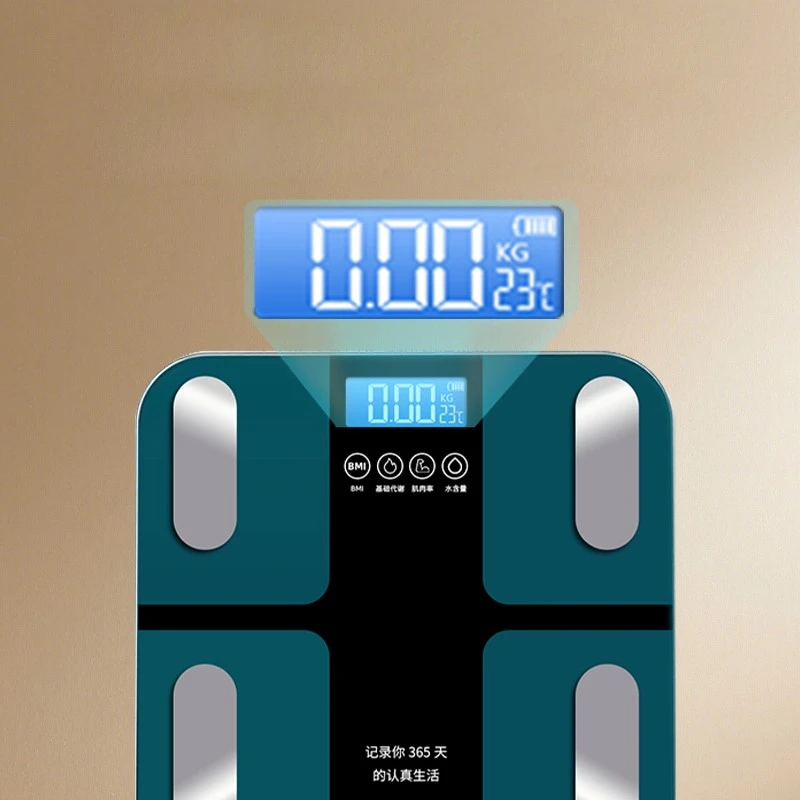 Body Trace Smart Scale best